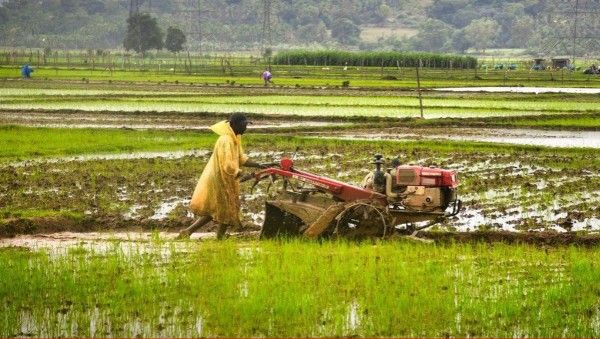 यूपी की तीन बड़ी सिंचाई परियोजना: किसानों को मिला नए साल का 6400 करोड़ का तोहफा